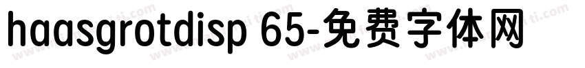 haasgrotdisp 65字体转换